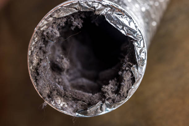 Best Affordable HVAC Duct Cleaning  in Meridian Hills, IN
