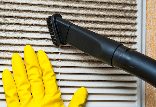 Air Duct Mold Removal in Meridian Hills, IN