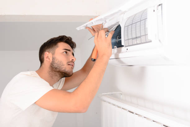 Best Air Duct Mold Removal  in Meridian Hills, IN